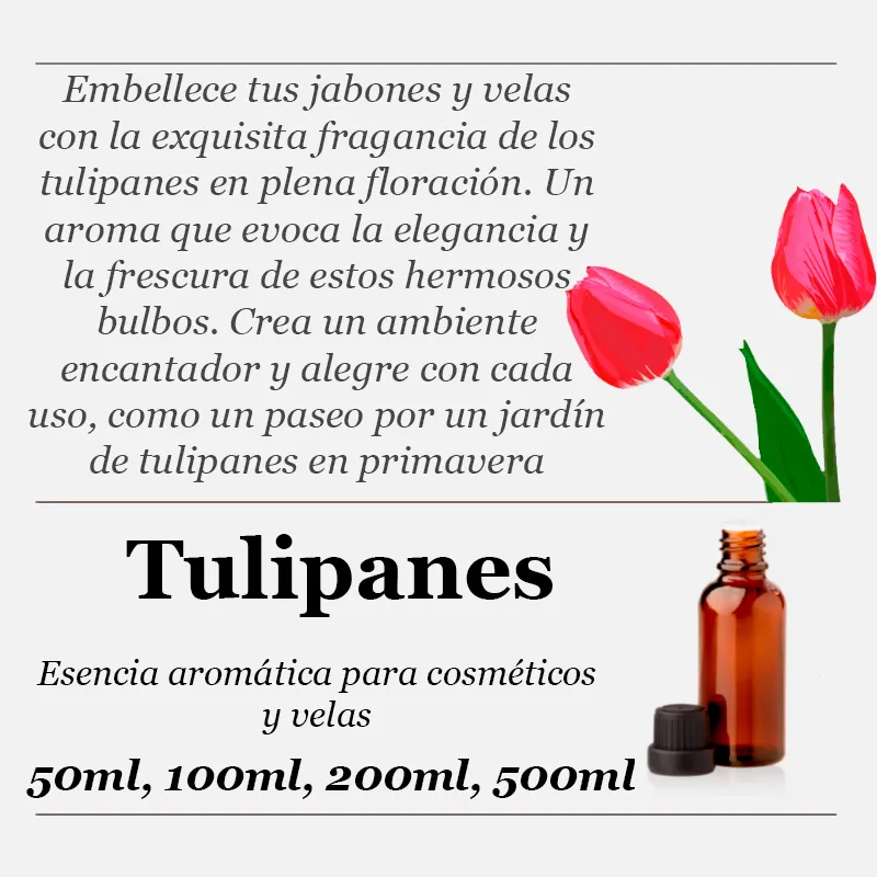 Tulipanes esencia aromática